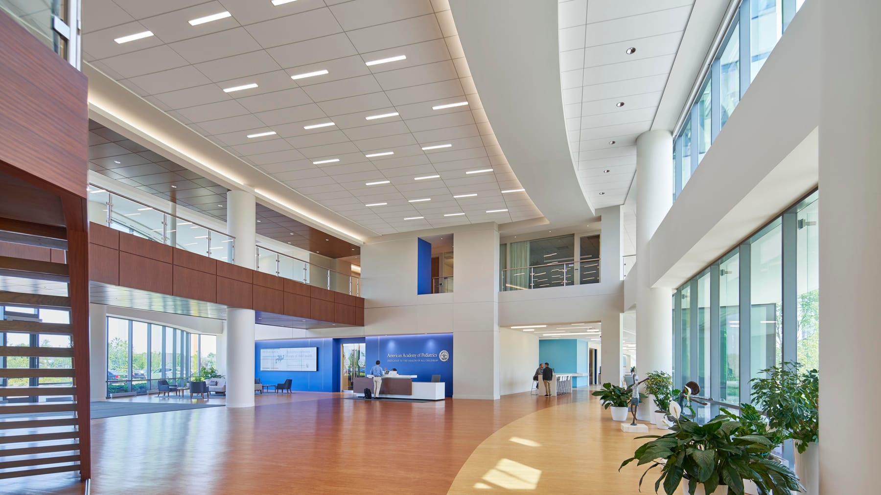 American Academy of Pediatrics, image 2
